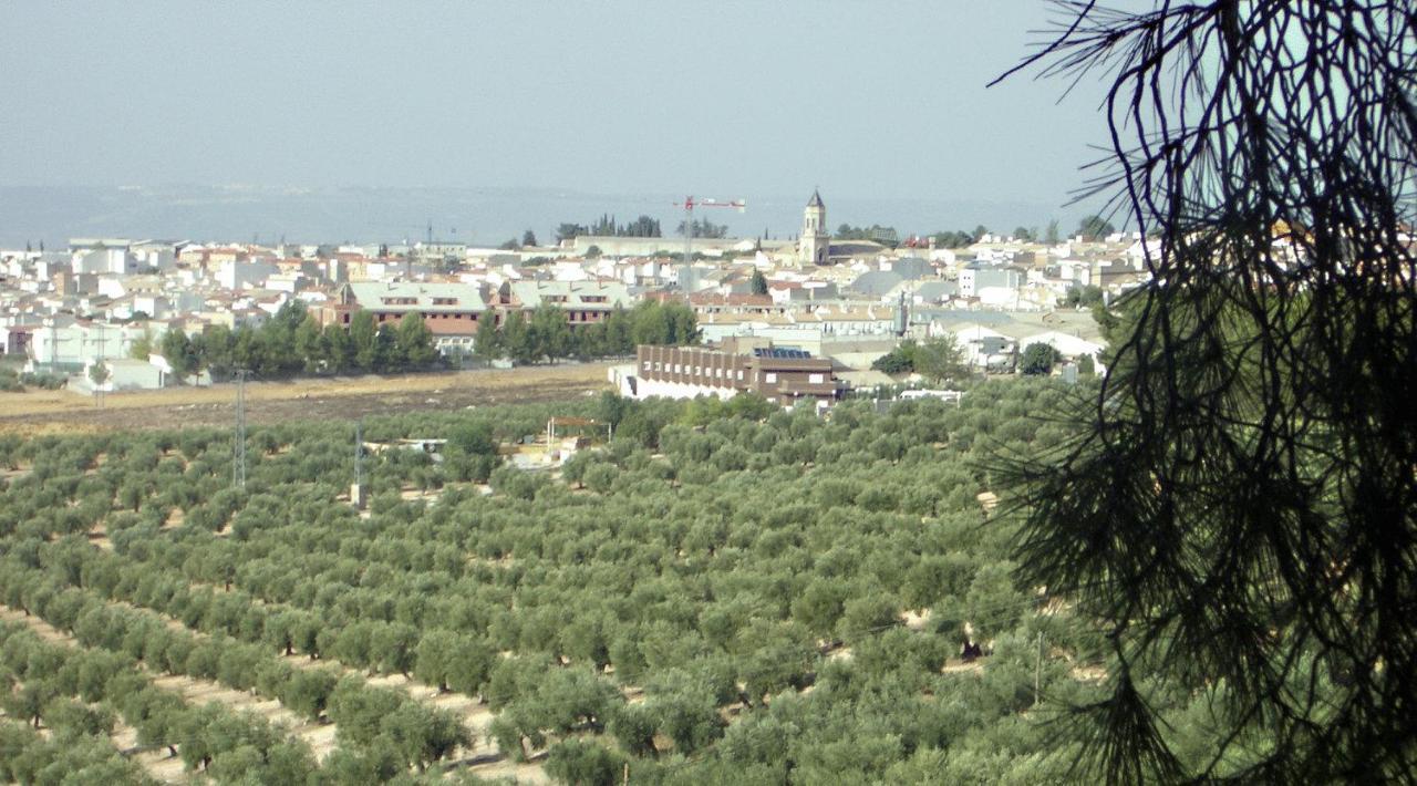 Hotel La Zambra Mancha Real المظهر الخارجي الصورة